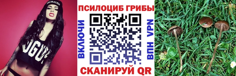 mega ссылки Шебекино Галлюциногенные грибы мухоморы